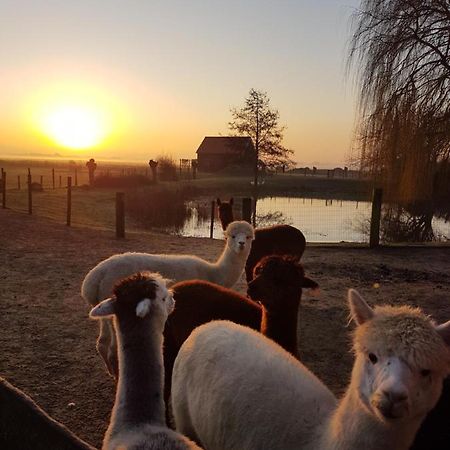 Aan De Waterspiegel Daire Aagtekerke Dış mekan fotoğraf