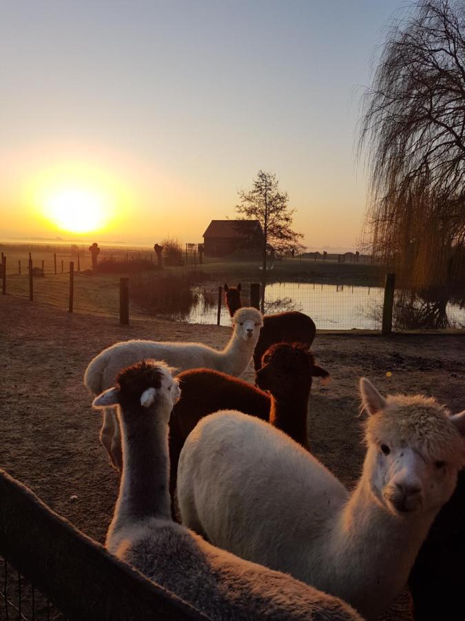 Aan De Waterspiegel Daire Aagtekerke Dış mekan fotoğraf