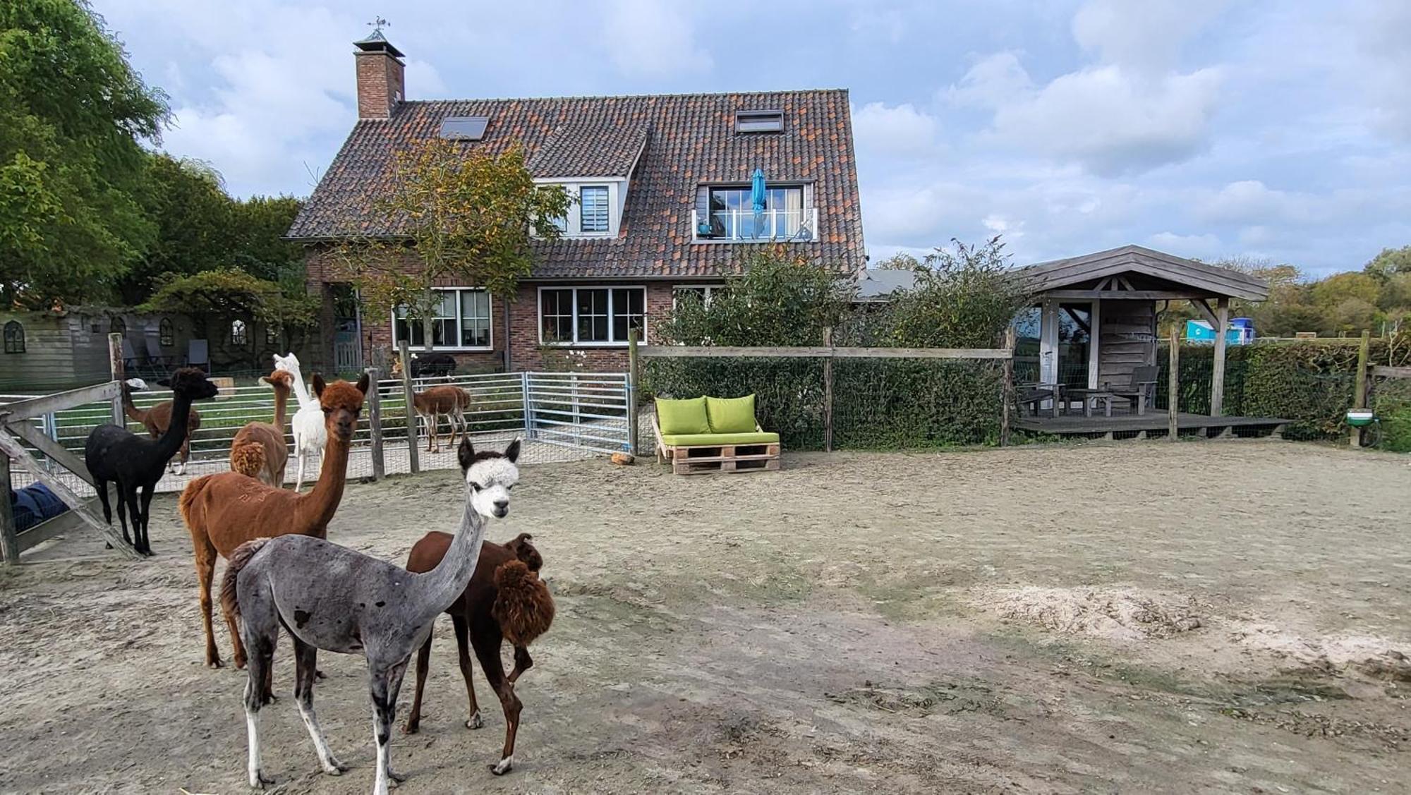 Aan De Waterspiegel Daire Aagtekerke Dış mekan fotoğraf